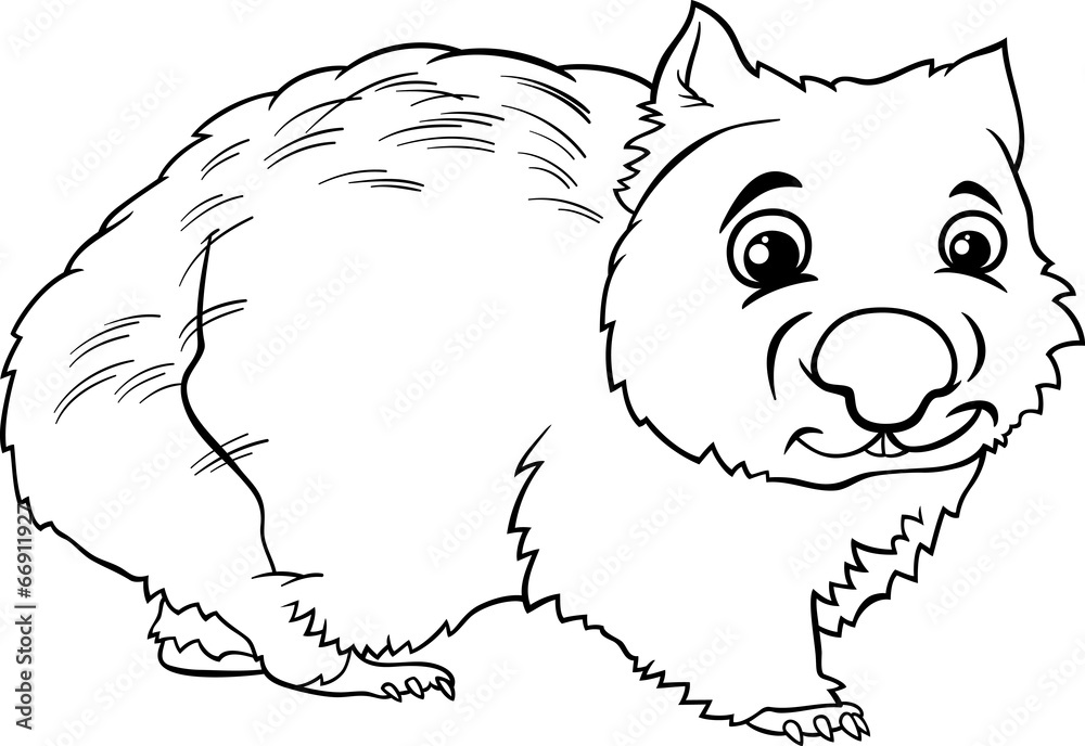 Wombat animal cartoon coloring book vector