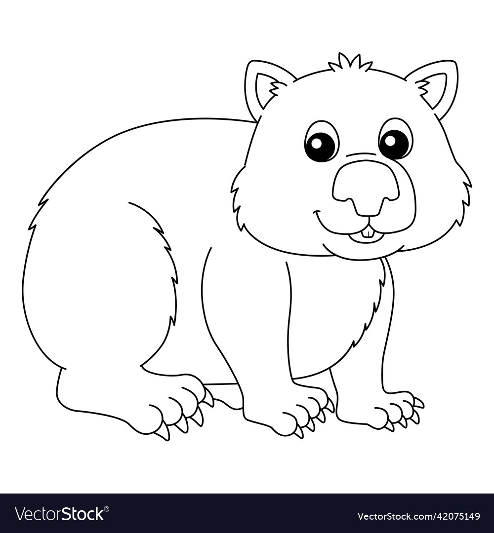 Wombat animal coloring page isolated for kids vector image