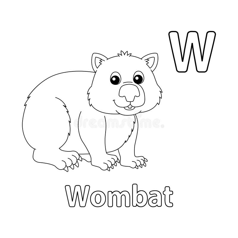 Wombat coloring stock illustrations â wombat coloring stock illustrations vectors clipart