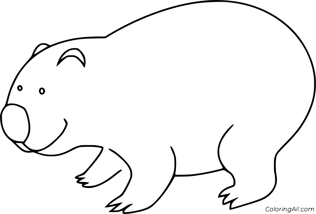 Wombat coloring pages