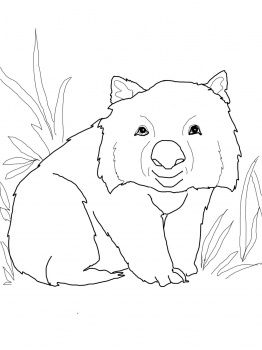 Funny wombat coloring page free printable coloring pages wombat wombat pictures australian animals