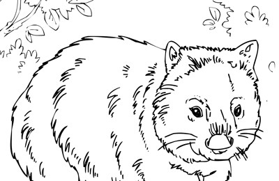 Wombat