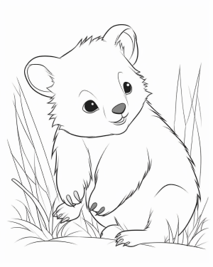Baby animals pages