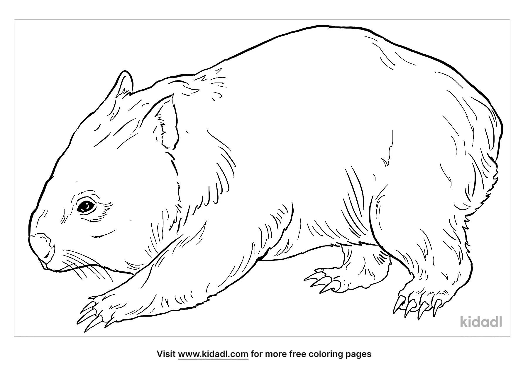 Free mon wombat coloring page coloring page printables
