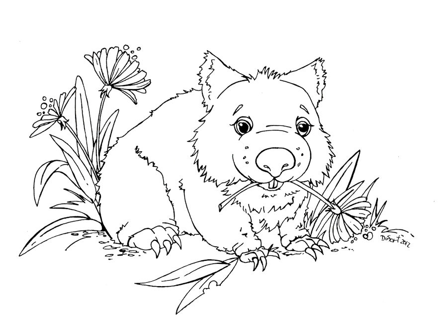 Adoptable wombat by jadedragonne on