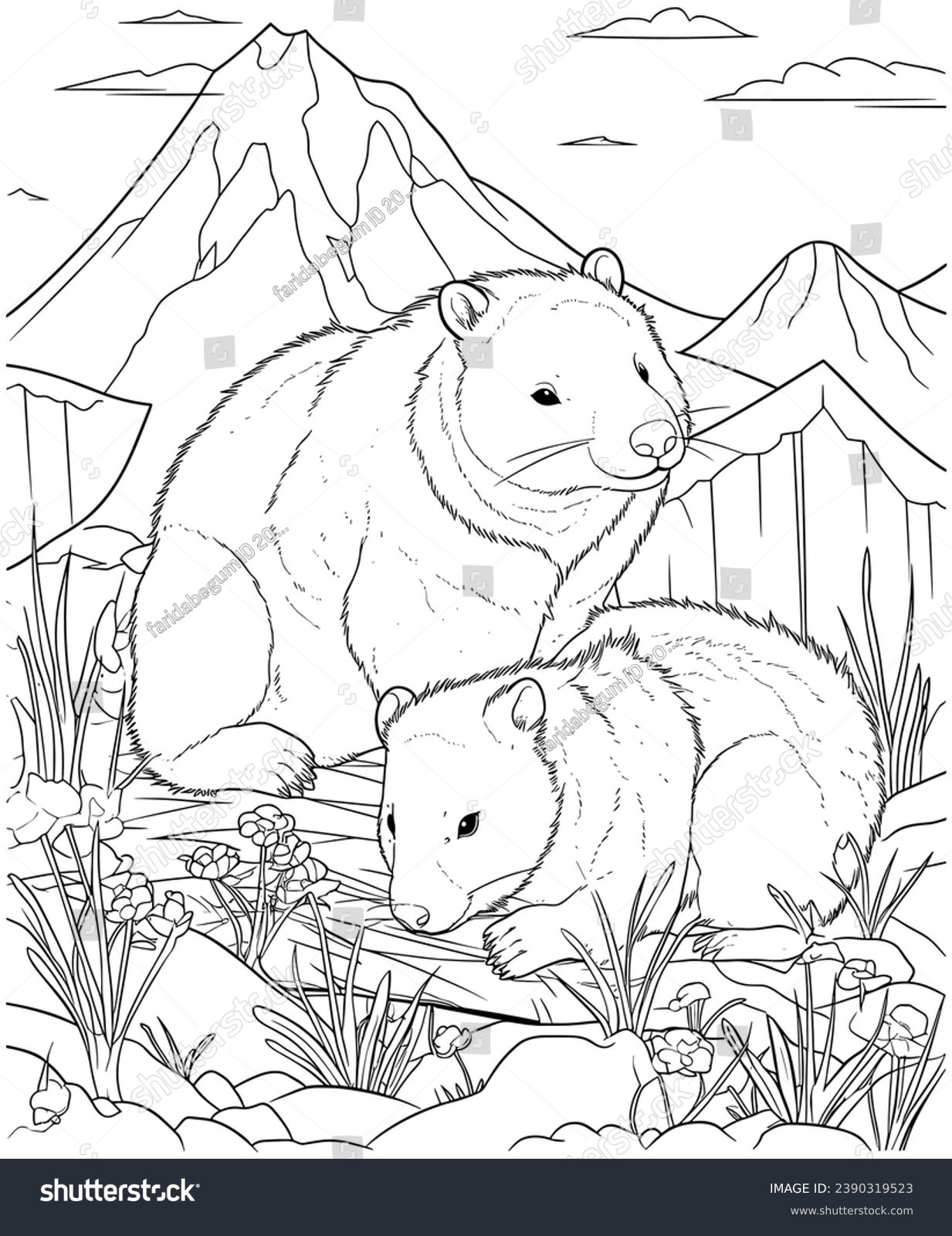 Wombat coloring images stock photos d objects vectors