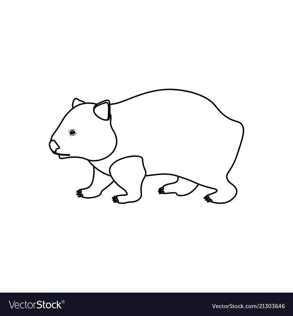 Wombat coloring pages royalty free vector image