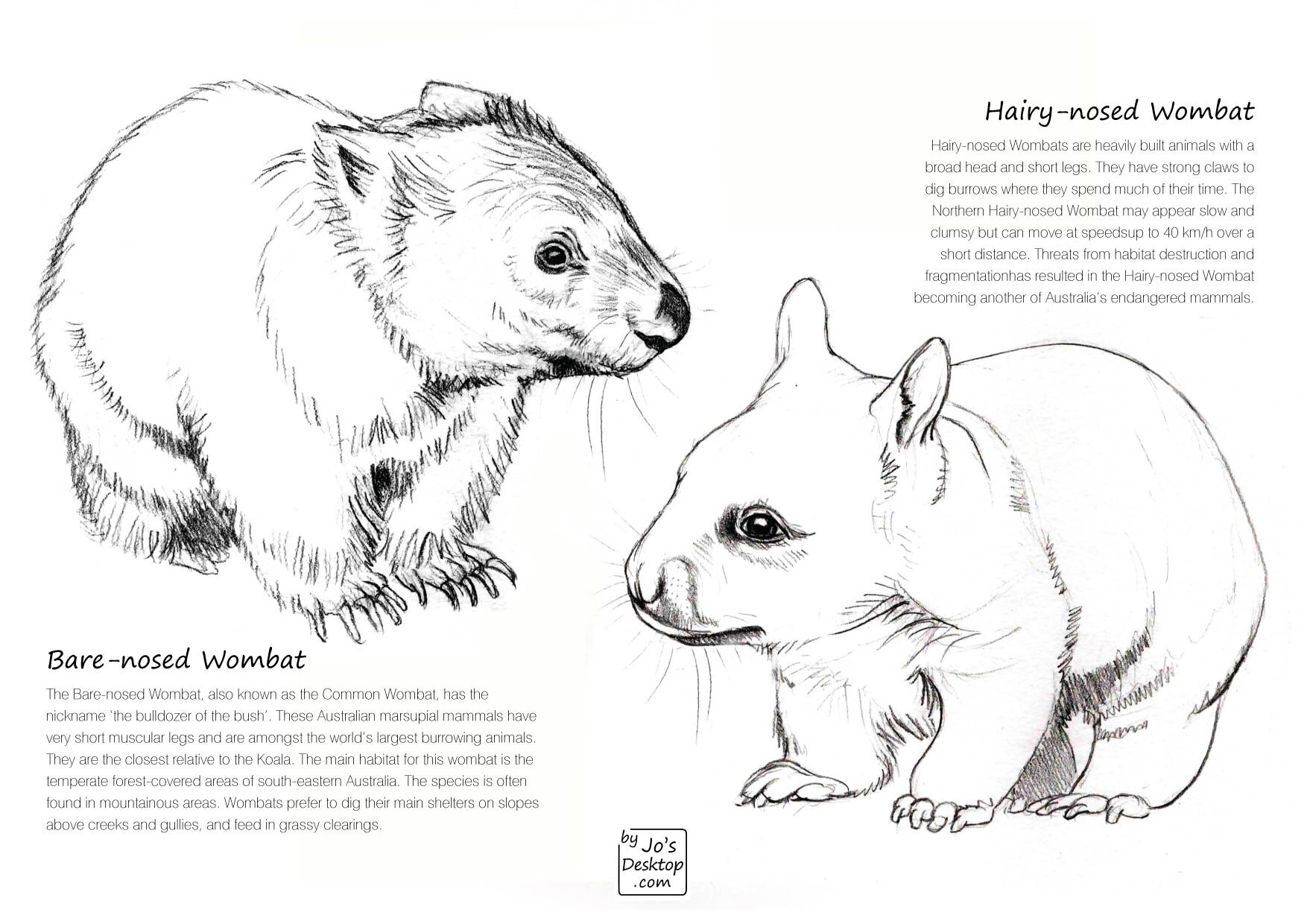 Activity sheets â jos desktop