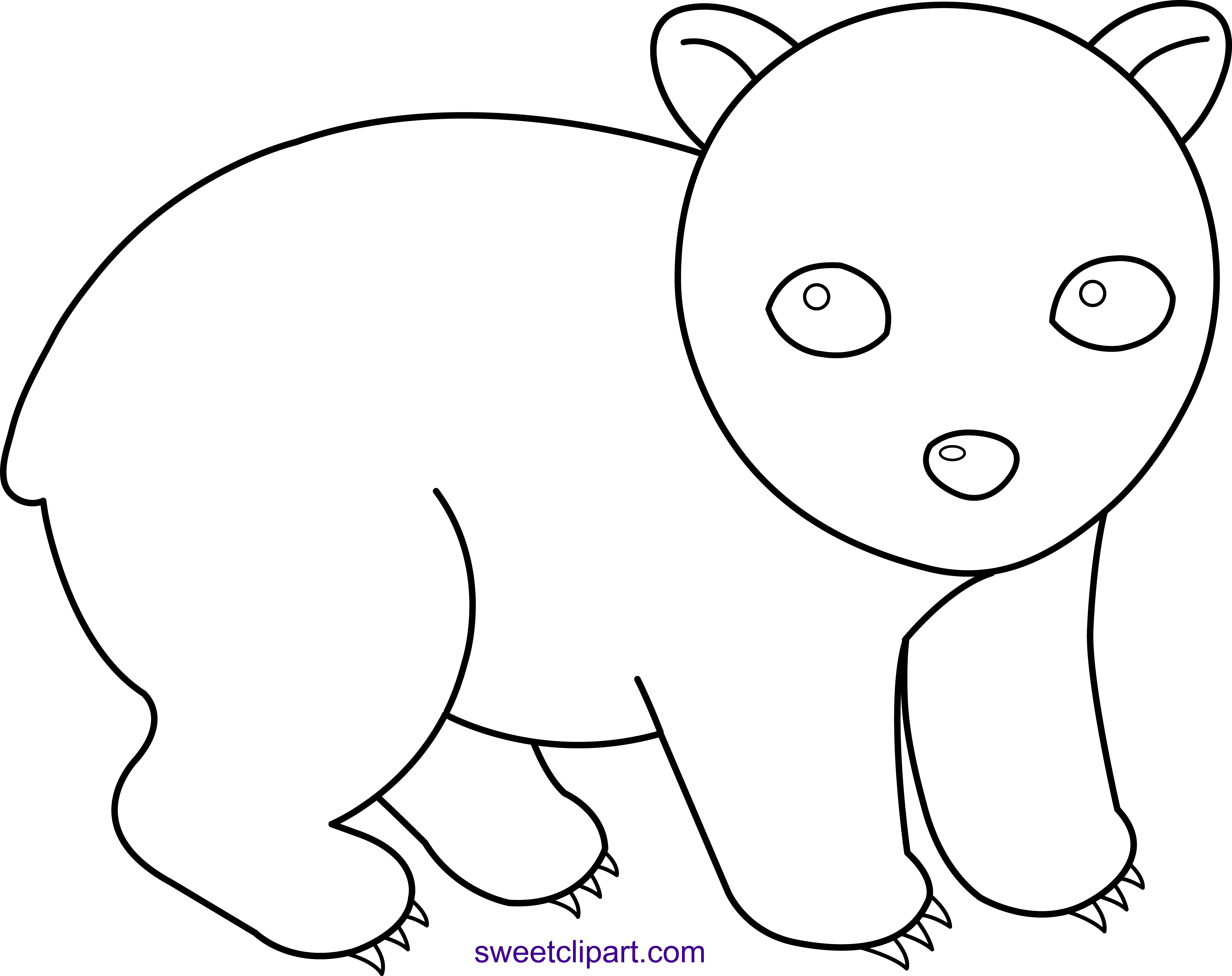 Wombat coloring page