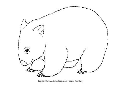 Wombat louring page australian animals animal loring pages wombat