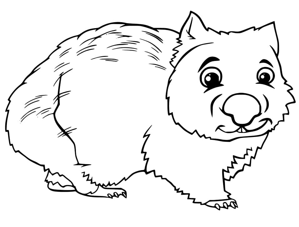 Wombat malvorlagen