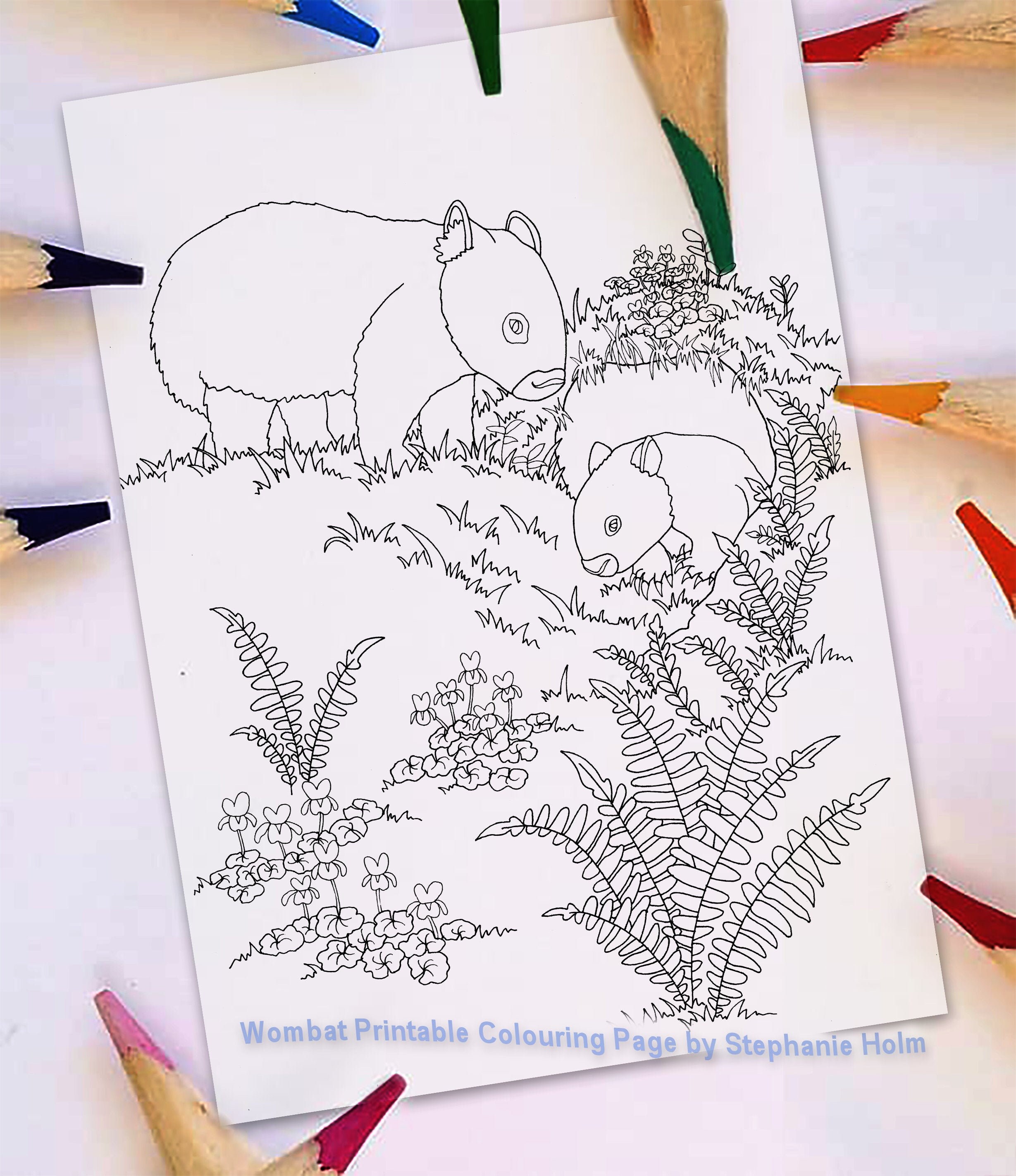 Wombat coloring page australian animal natural history printable colouring pdf digital file