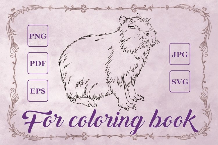 Statue boy adult coloring book