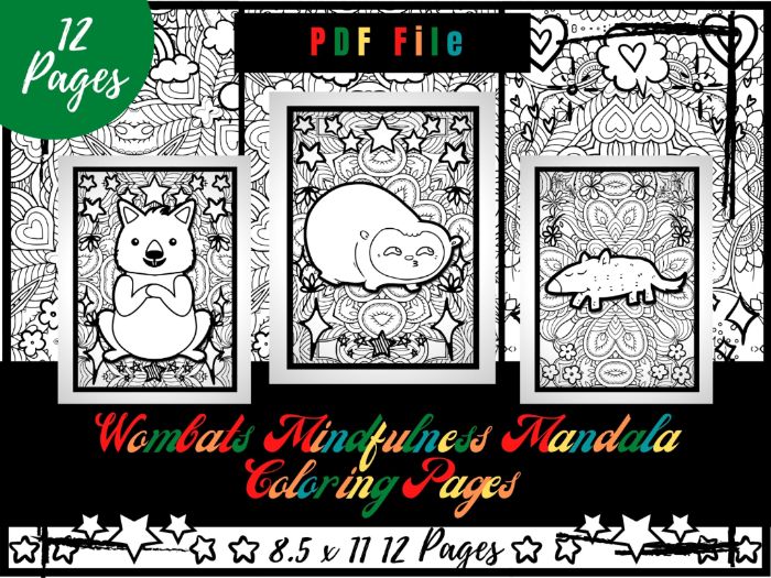 Wombats mindfulness mandala coloring pages animals coloring printable sheets teaching resources