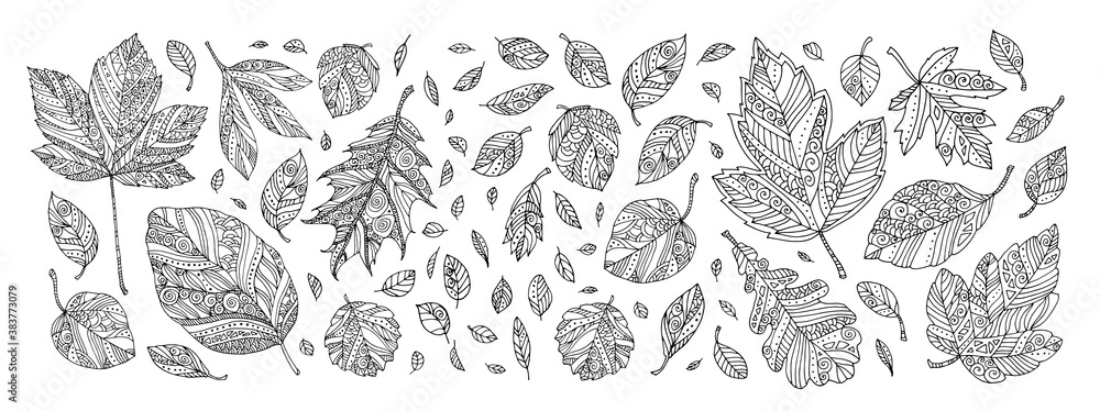 Folling leaves pattern maple elm birch linden hand drawn artwork zentangle doodle tattoo woodcut style coloring book page for adult black and white bohemian ethnic concept vector