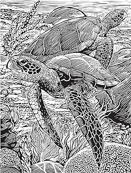 Creative haven deluxe edition animal woodcut designs coloring book striking designs on a dramatic black background foley tim books
