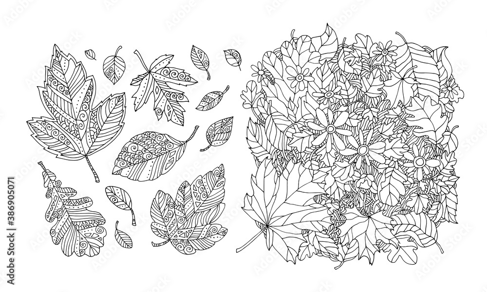 Folling leaves pattern maple elm birch linden hand drawn artwork zentangle doodle woodcut style coloring book page for adults and kids black and white bohemian ethnic concept vector