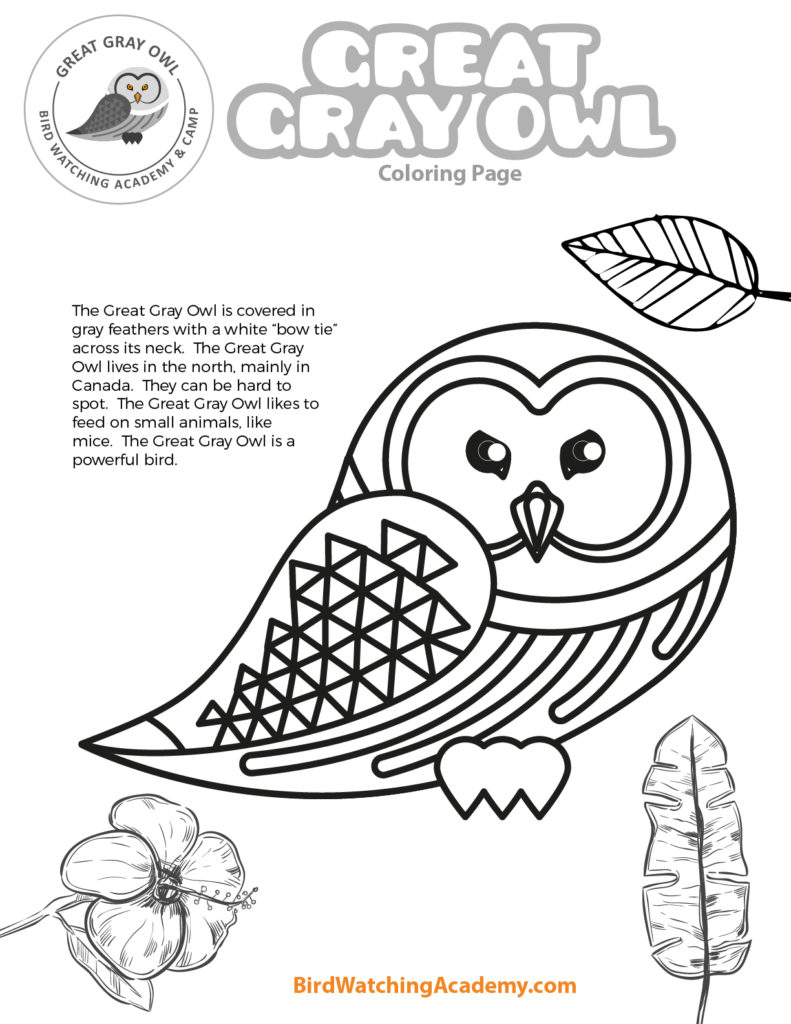 Bird coloring pages