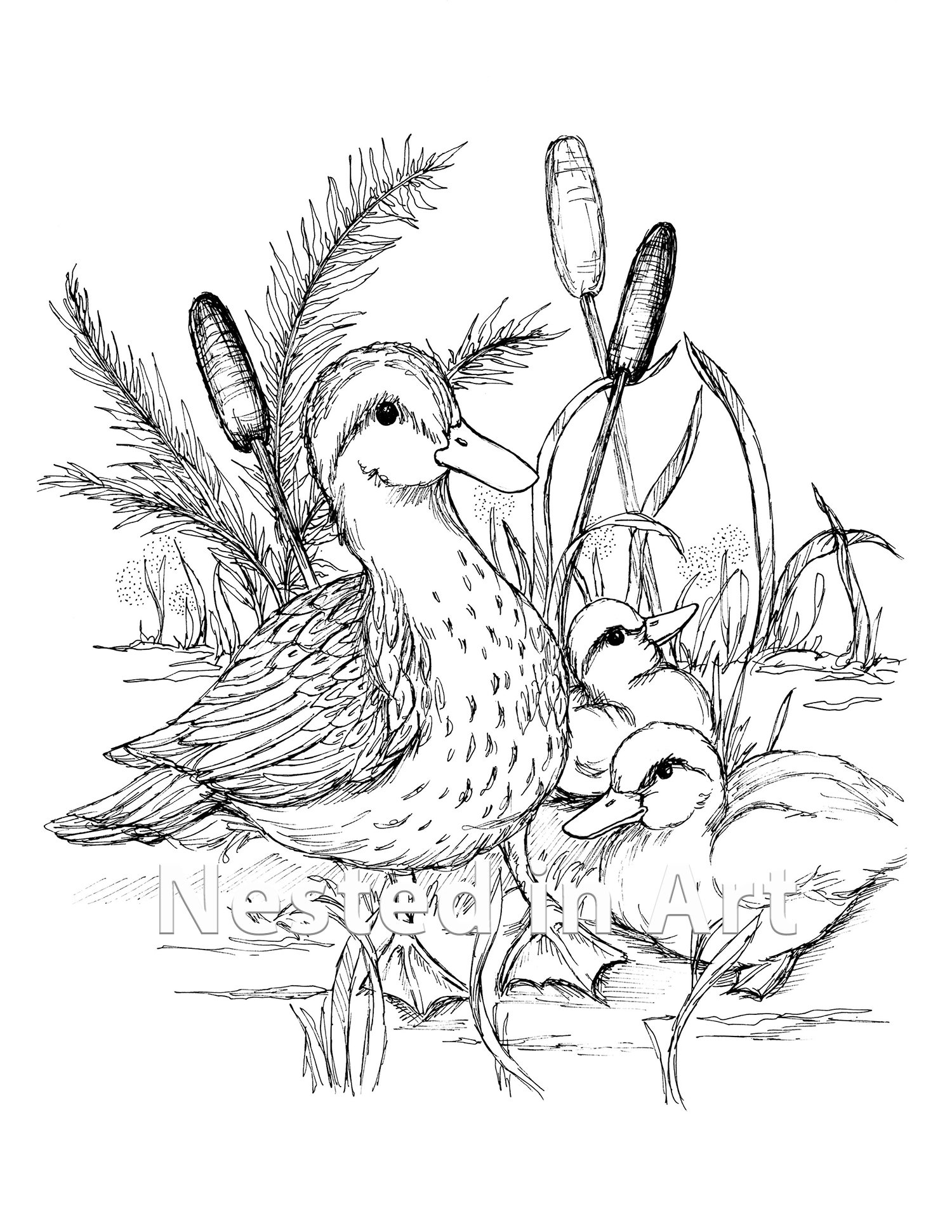 Adult coloring page duck with baby chicks digital download instant download