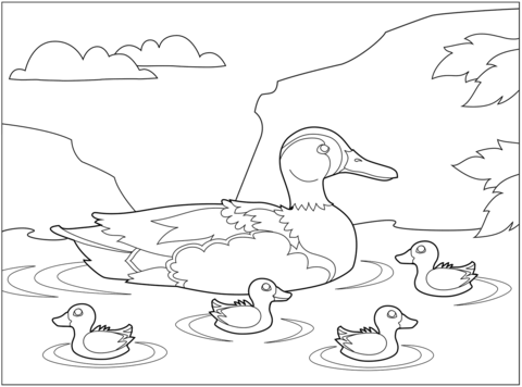 Teal duck coloring page free printable coloring pages