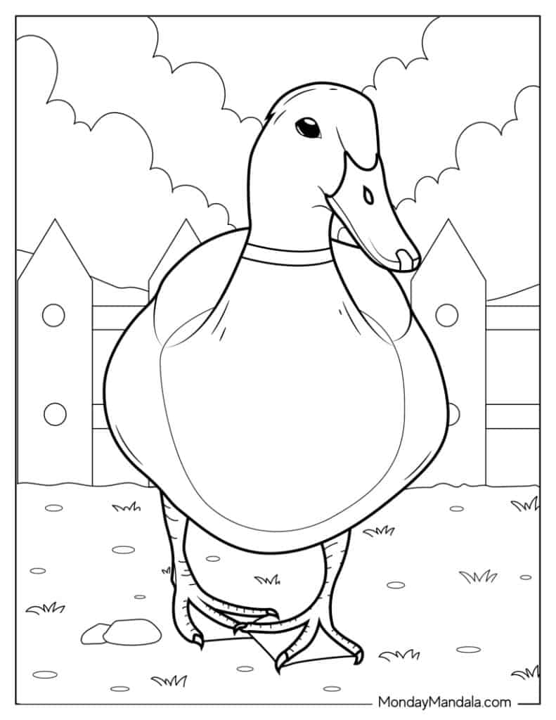 Cute duck coloring pages free pdf printables