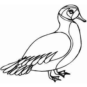 Sad duck coloring sheet
