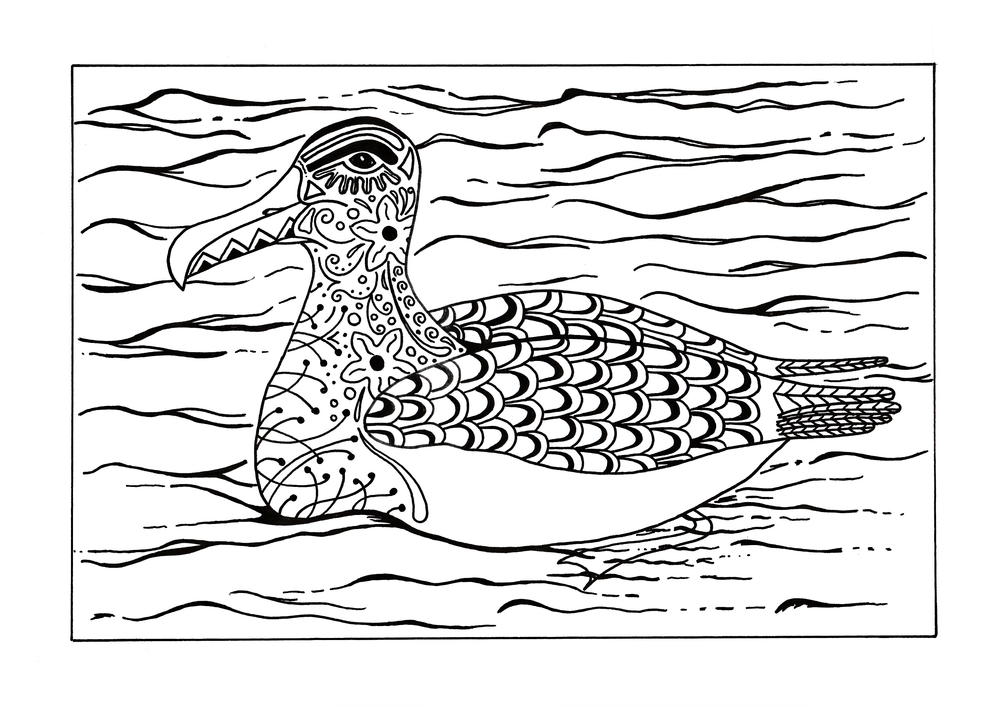 Arctic albatross adult coloring page
