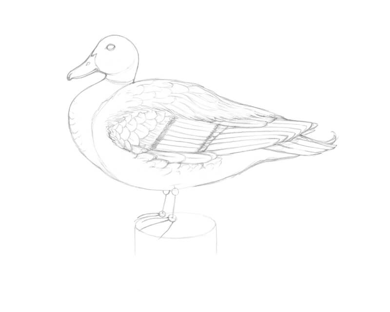How to draw a duck with ink and water