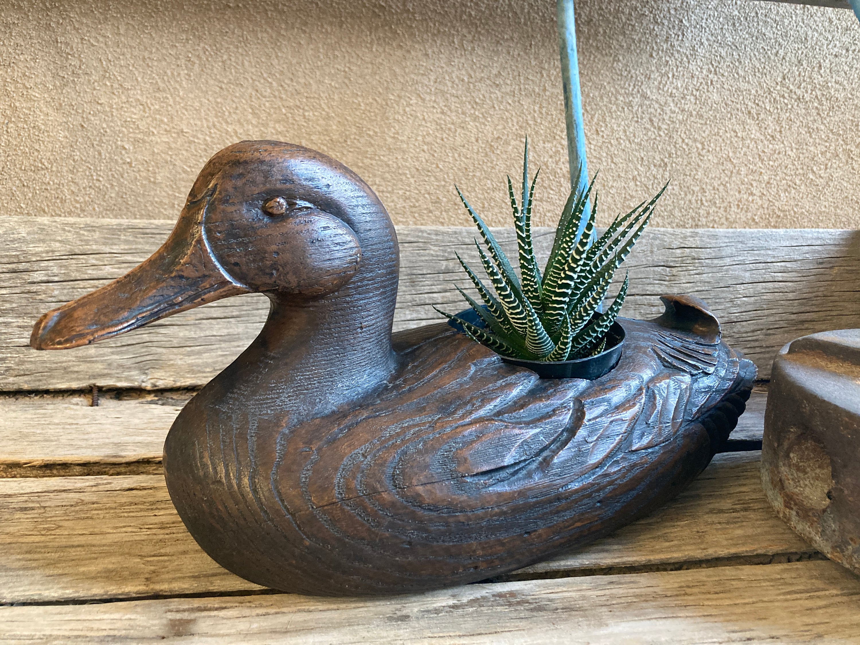 Wood duck planter
