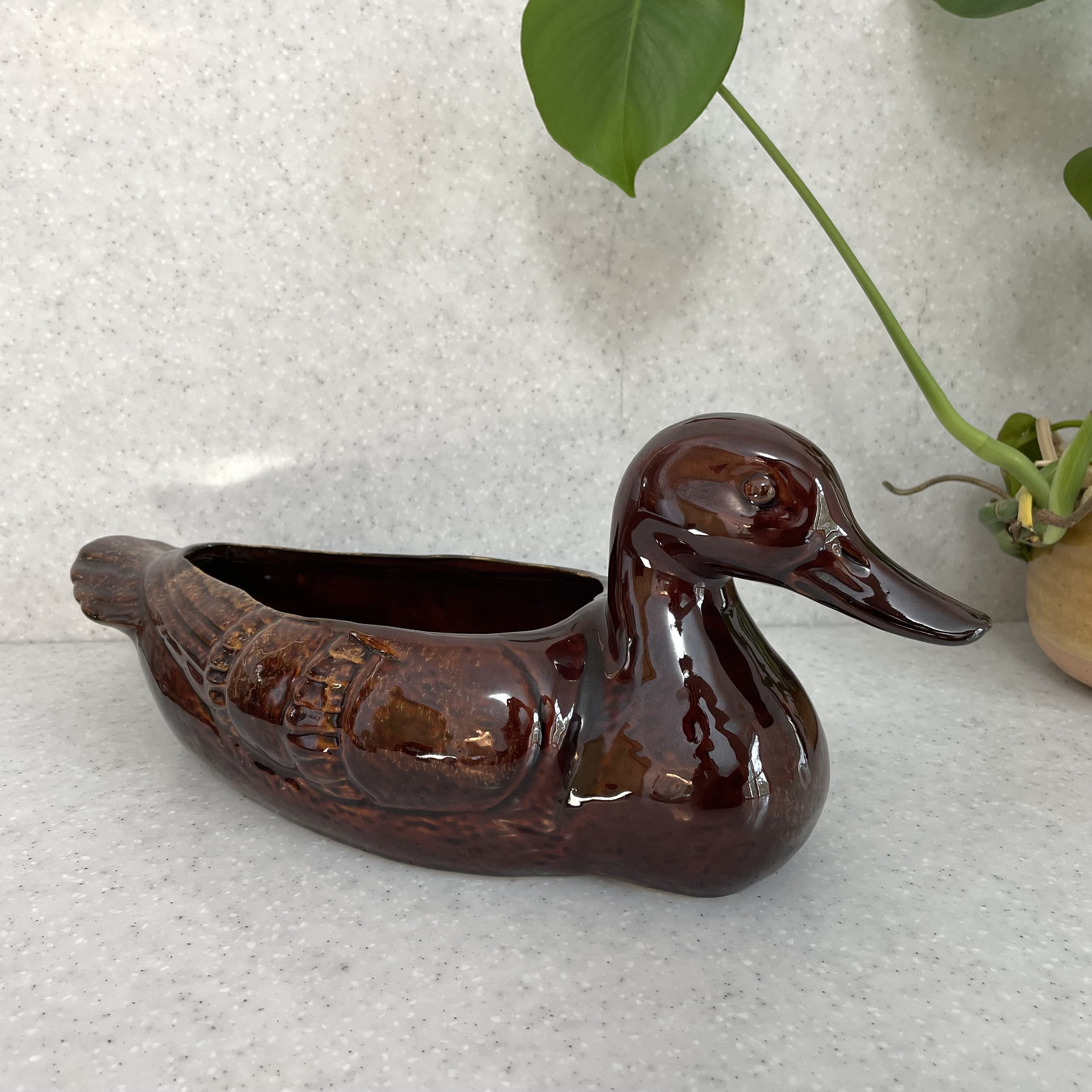 Wood duck planter