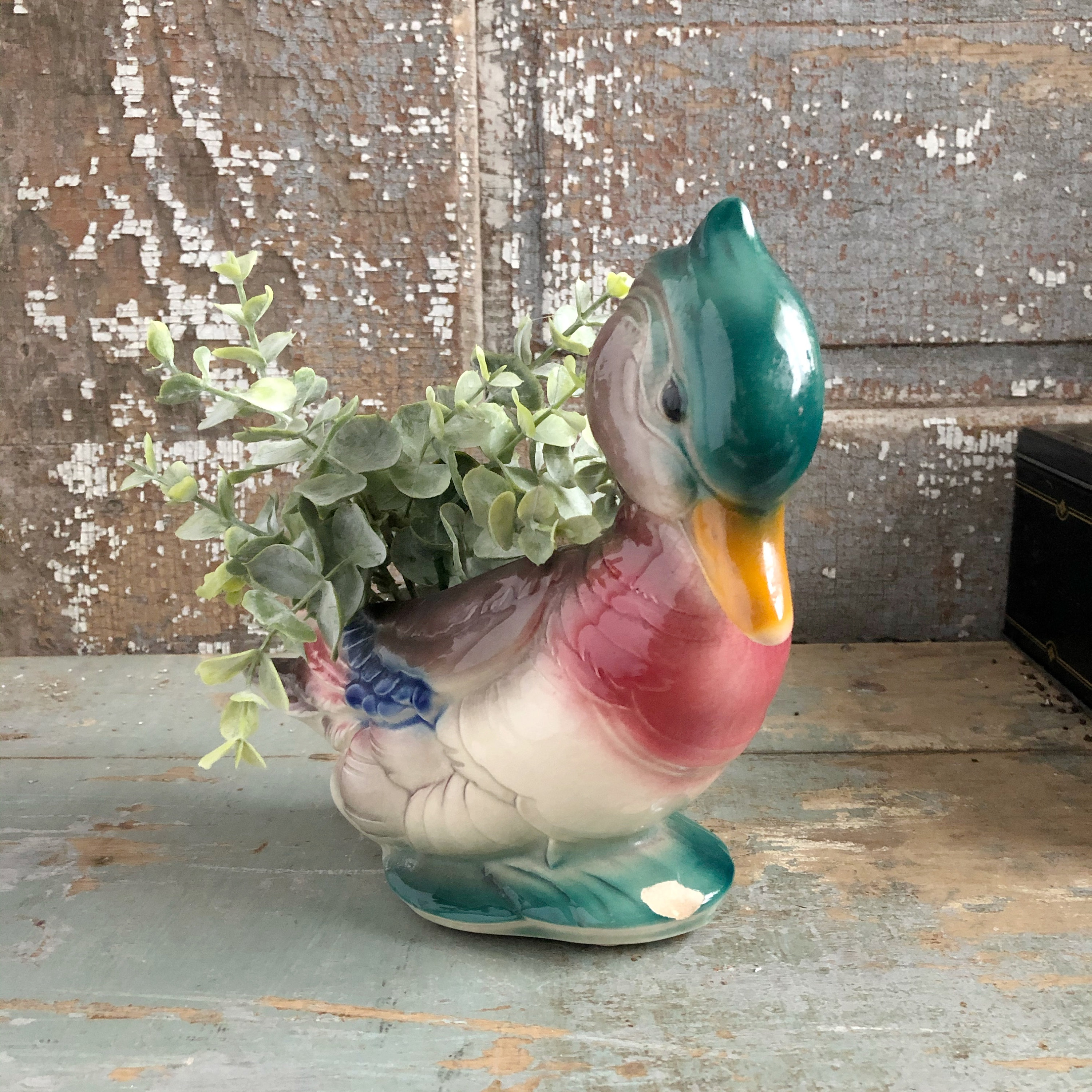 Wood duck planter