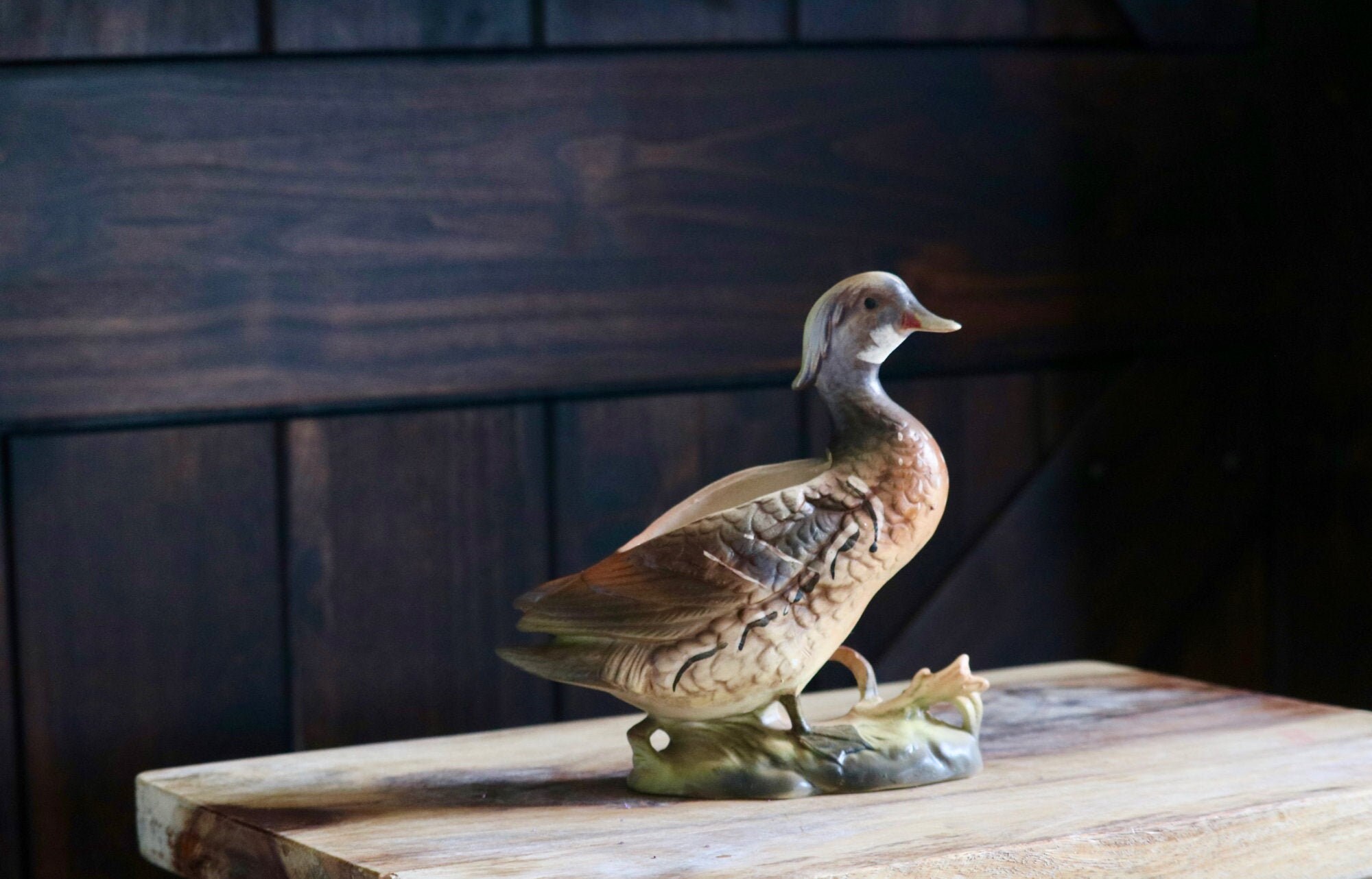 Wood duck planter