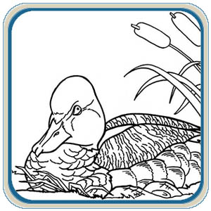 Flying ducks patterns â classic carving patterns â art designs studio