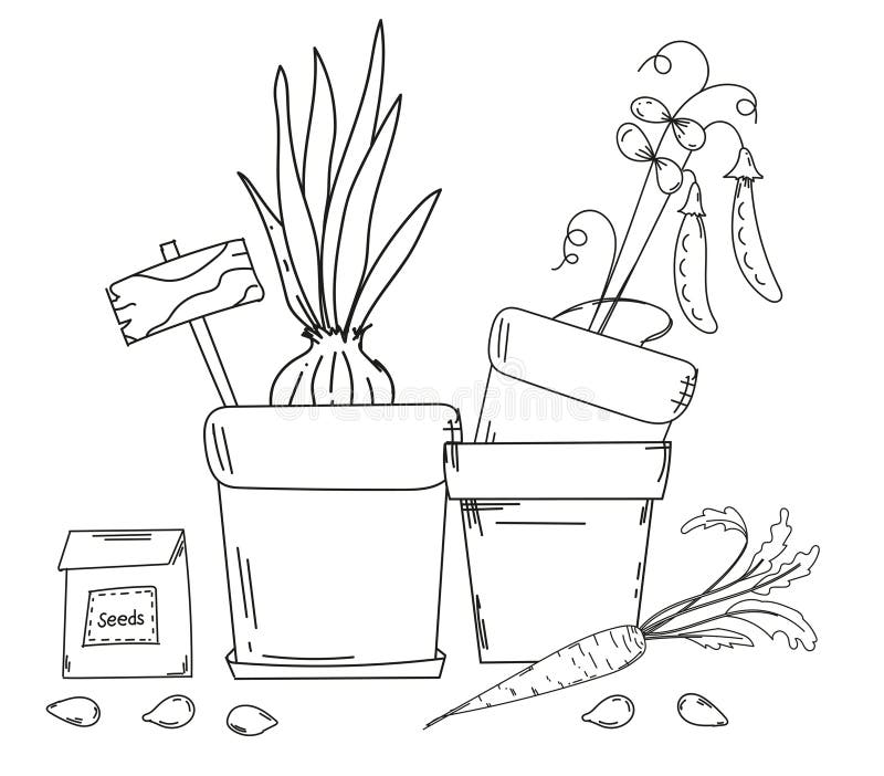 Planting coloring page stock illustrations â planting coloring page stock illustrations vectors clipart