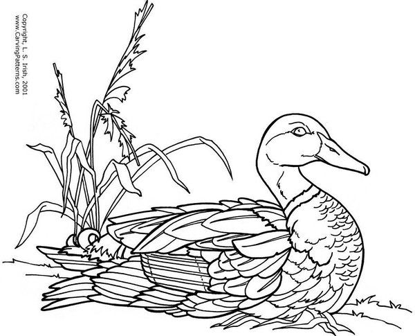 Puddle ducks pattern package wood burning patterns wood burning stencils pyrography patterns
