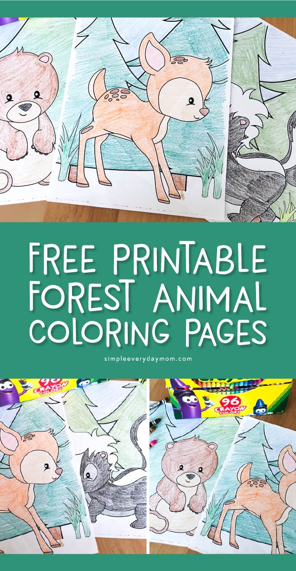 Free printable woodland animal coloring pages for kids