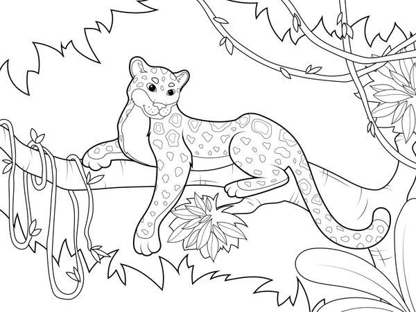 Thousand coloring pages wild animals royalty