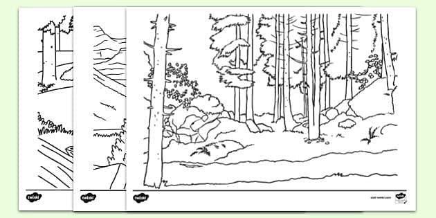 Woodland animal louring pages teacher made