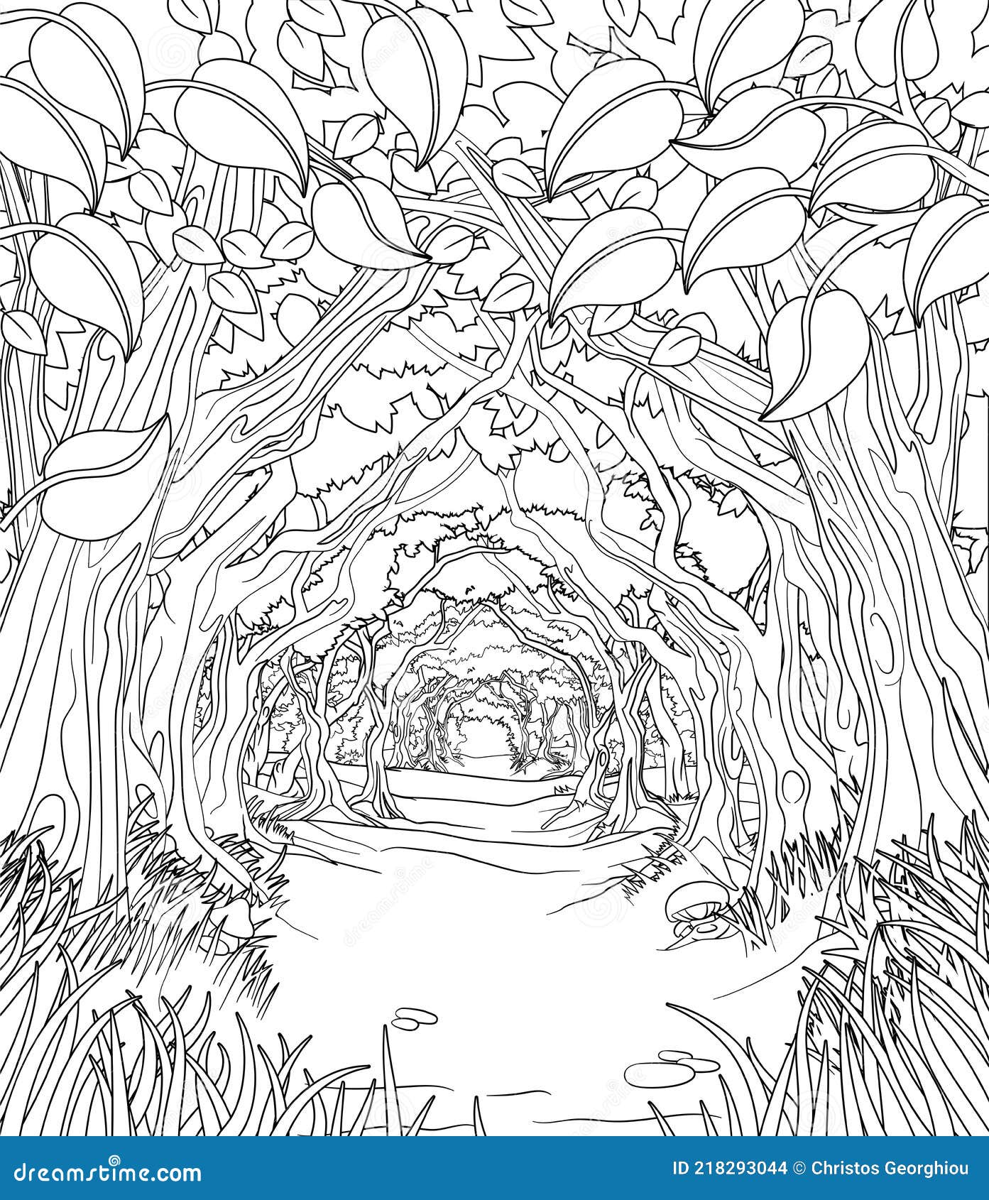 Woodland forest trees path coloring book scene stock vector