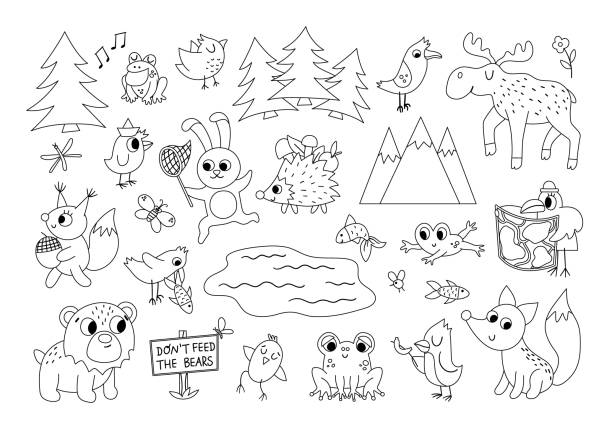 Woodland animals colouring in stock photos pictures royalty