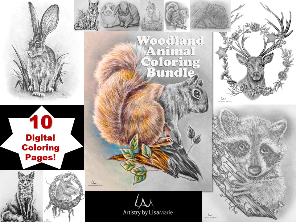 Printable coloring bundle woodland animals â artistry by lisa marie