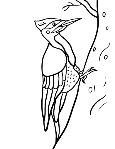 Free woodpecker coloring page