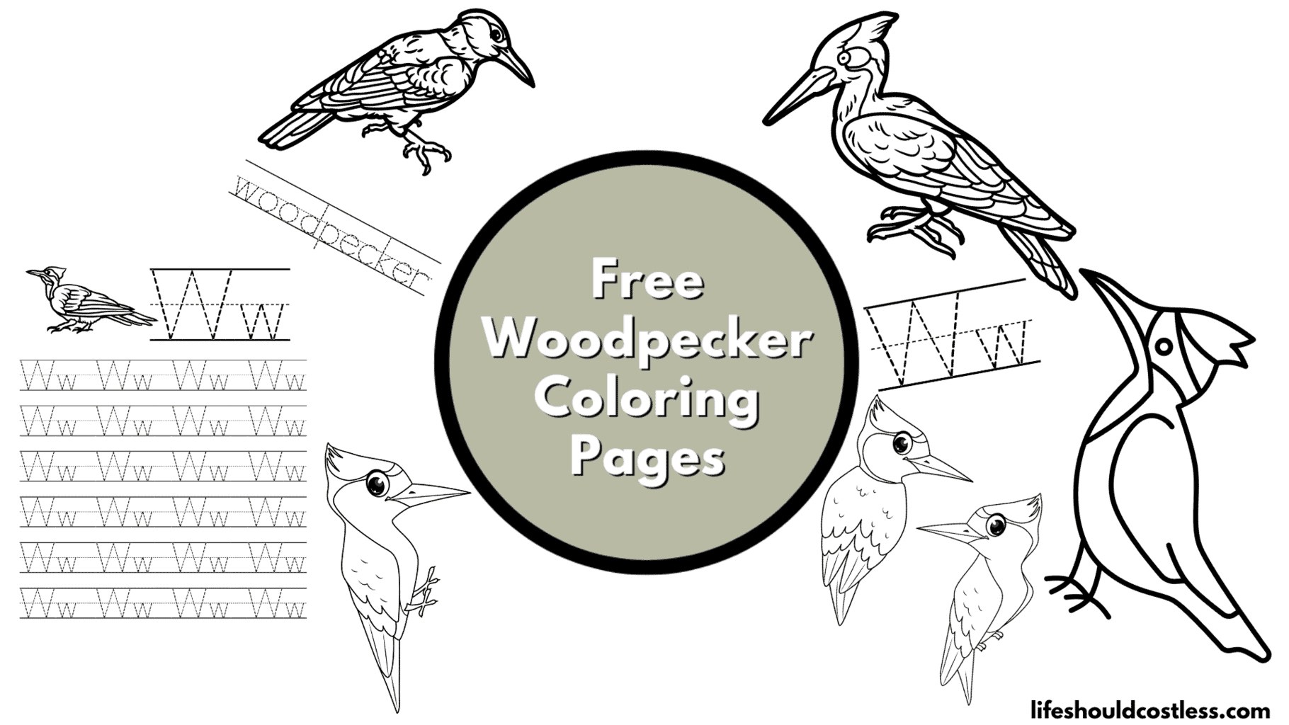 Woodpecker coloring pages free printable pdf templates