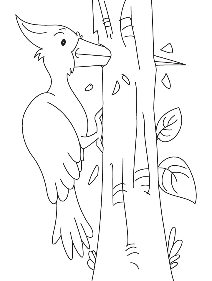 Powerful woodpecker coloring pages download free powerful woodpecker coloring pages for kids best coloring pages
