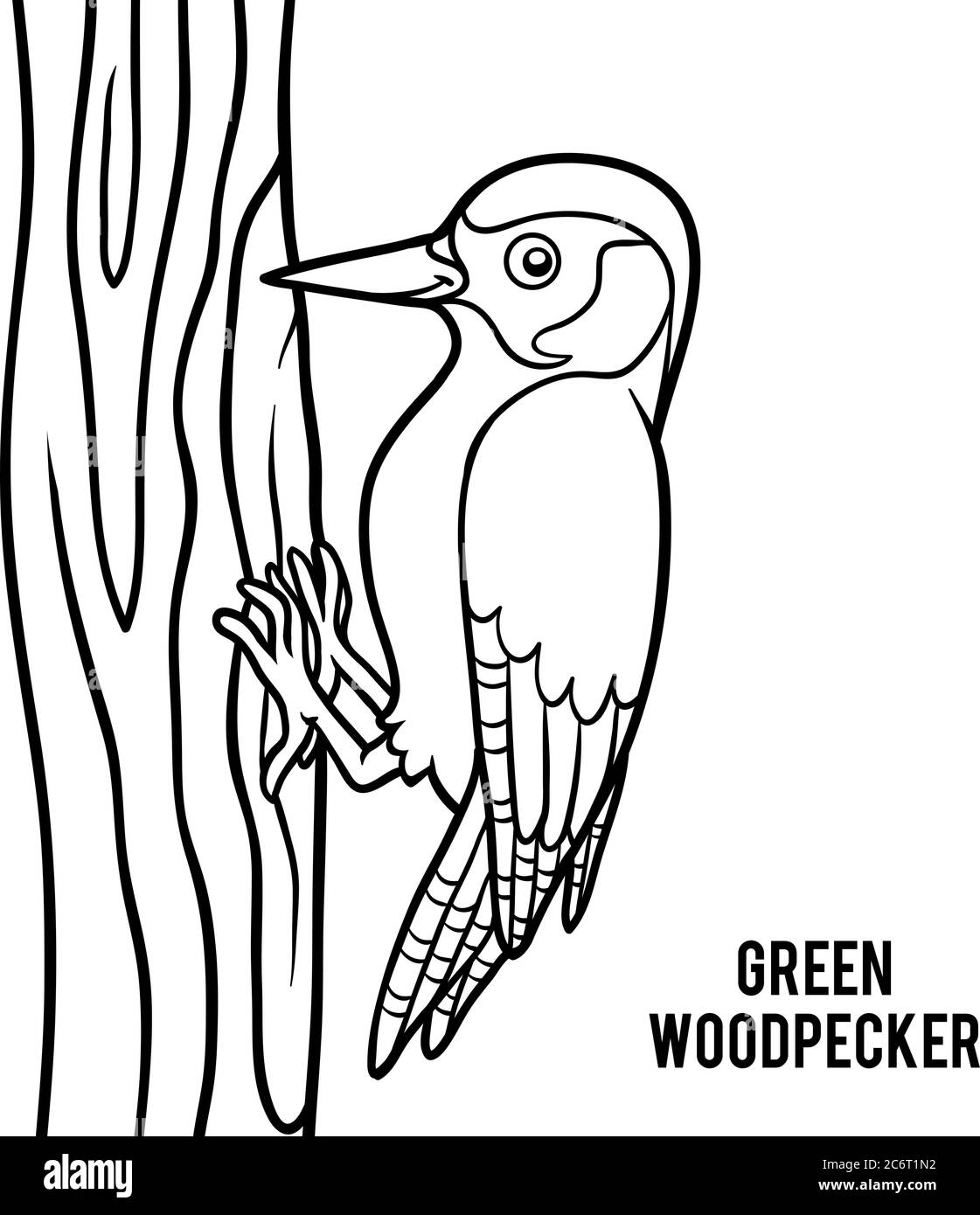 Coloring book for children green woodpecker stock vector image art