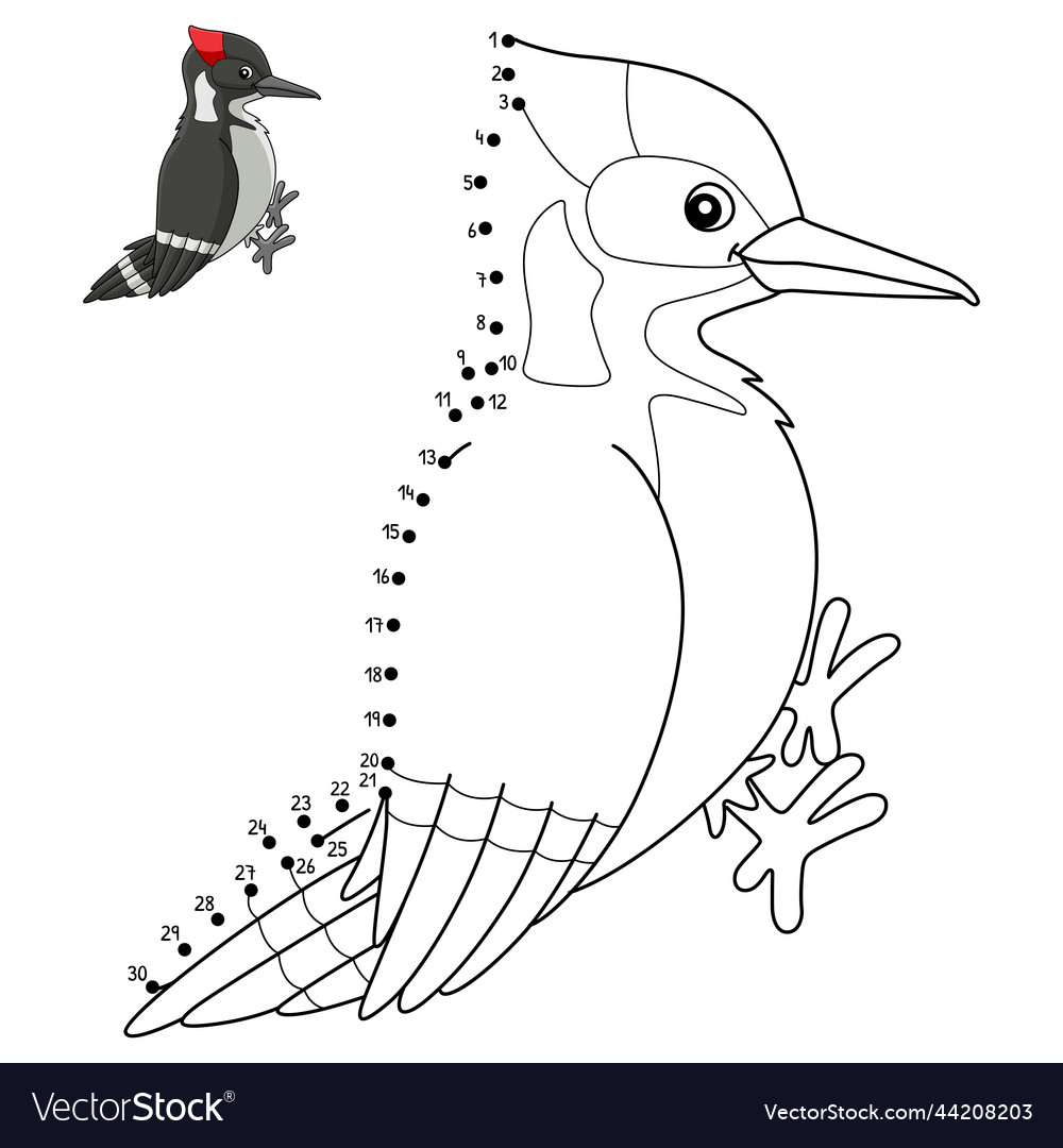 Dot to woodpecker bird isolated coloring page vector image