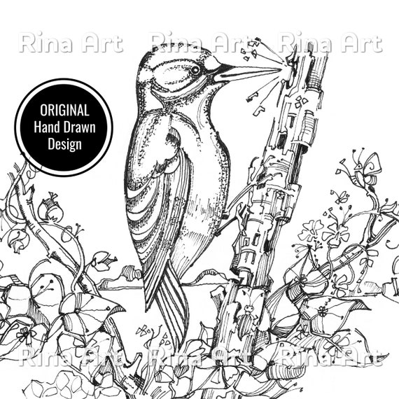 Woodpecker coloring page printable adult colouring pages book download grayscale illustration jpg pdf