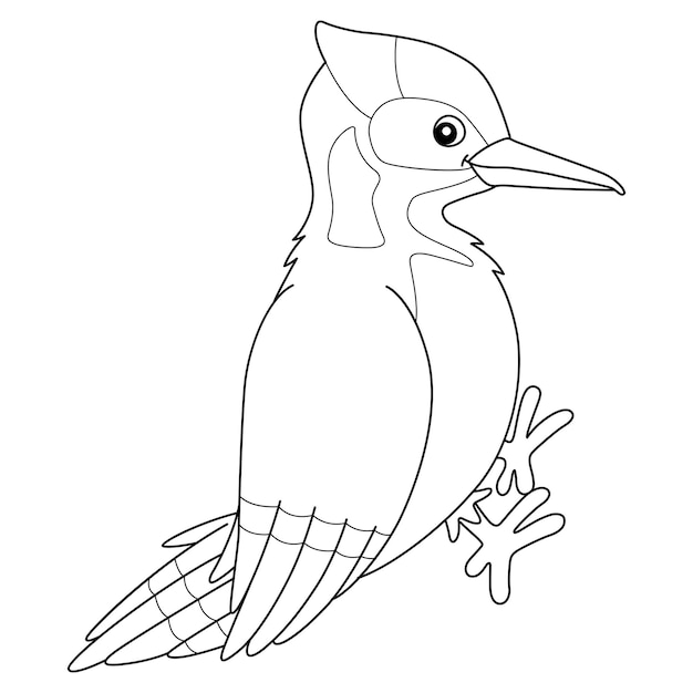 Premium vector woodpecker bird animal coloring page for kids
