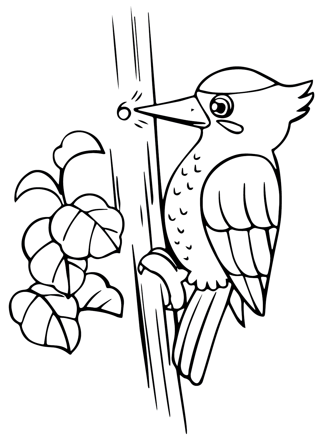 Woodpecker coloring pages