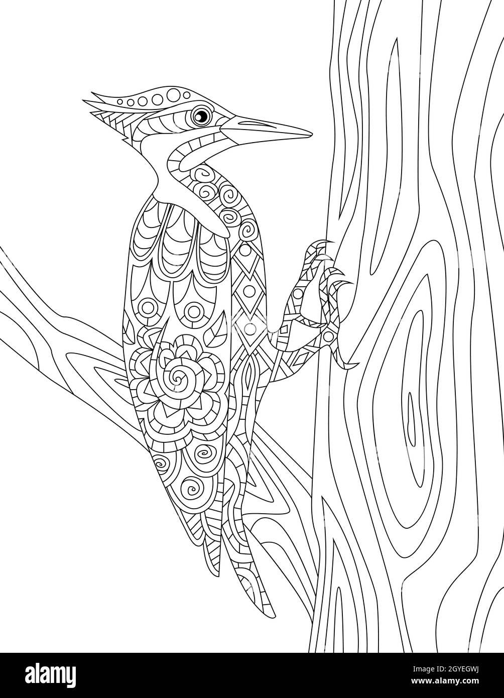 Woodpecker drawing hi